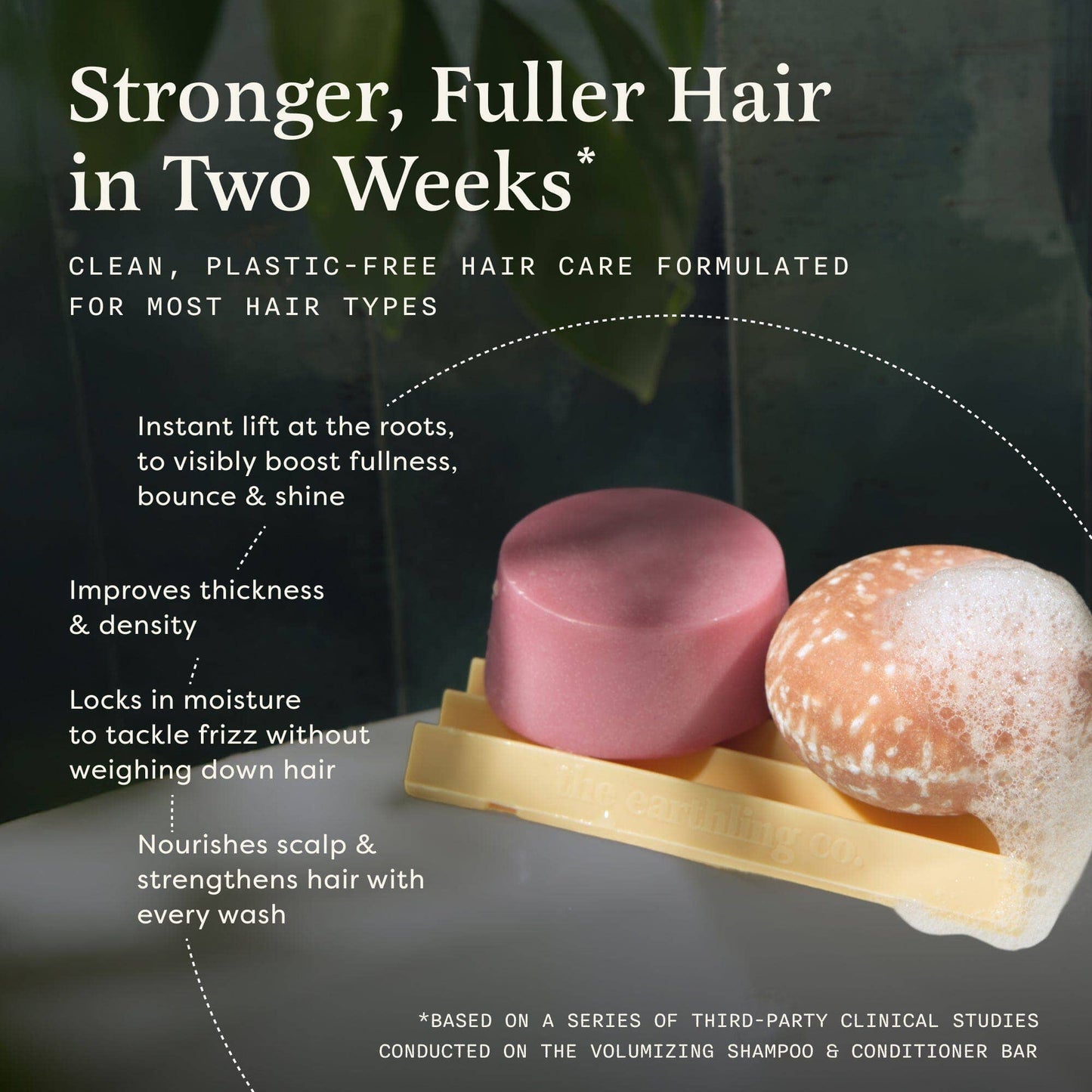 Shampoo & Conditioner Set | Volumizing | Hibiscus Petal
