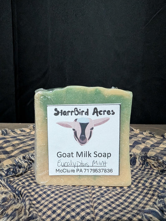 Eucalyptus Mint Goat Milk Soap