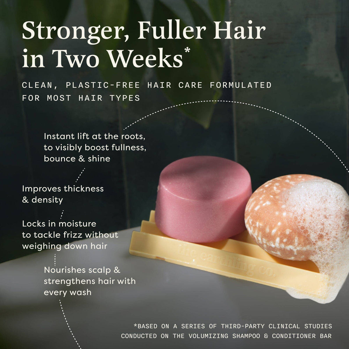 Shampoo & Conditioner Set | Volumizing | Apple Pie